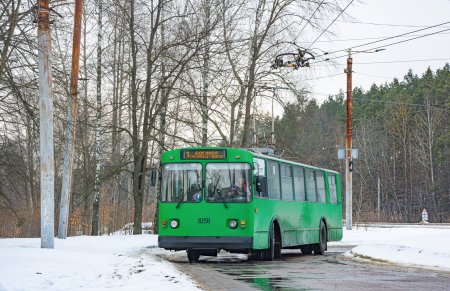 У Житомирі оновили графіки руху тролейбусів №2, №3 та №4: що змінилося