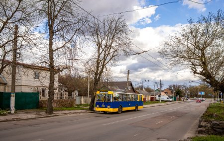 На Великій Бердичівській обмежено рух тролейбусів через ремонт дороги
